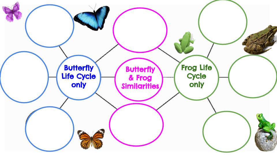 LIFE CYCLES & SIMILARITIES & DIFFERENCES OF ORGANISMS--Quarter 4 SCIENCE -  Mrs. McCann's Second Grade Class Page...